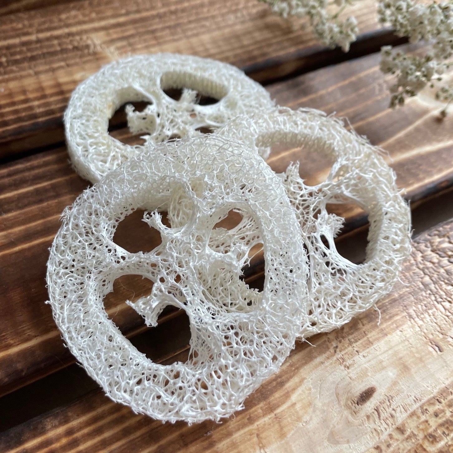 Luffascheiben 3 Stück