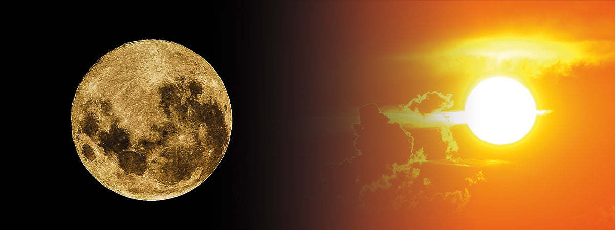 Das Leben besteht aus Rhythmus