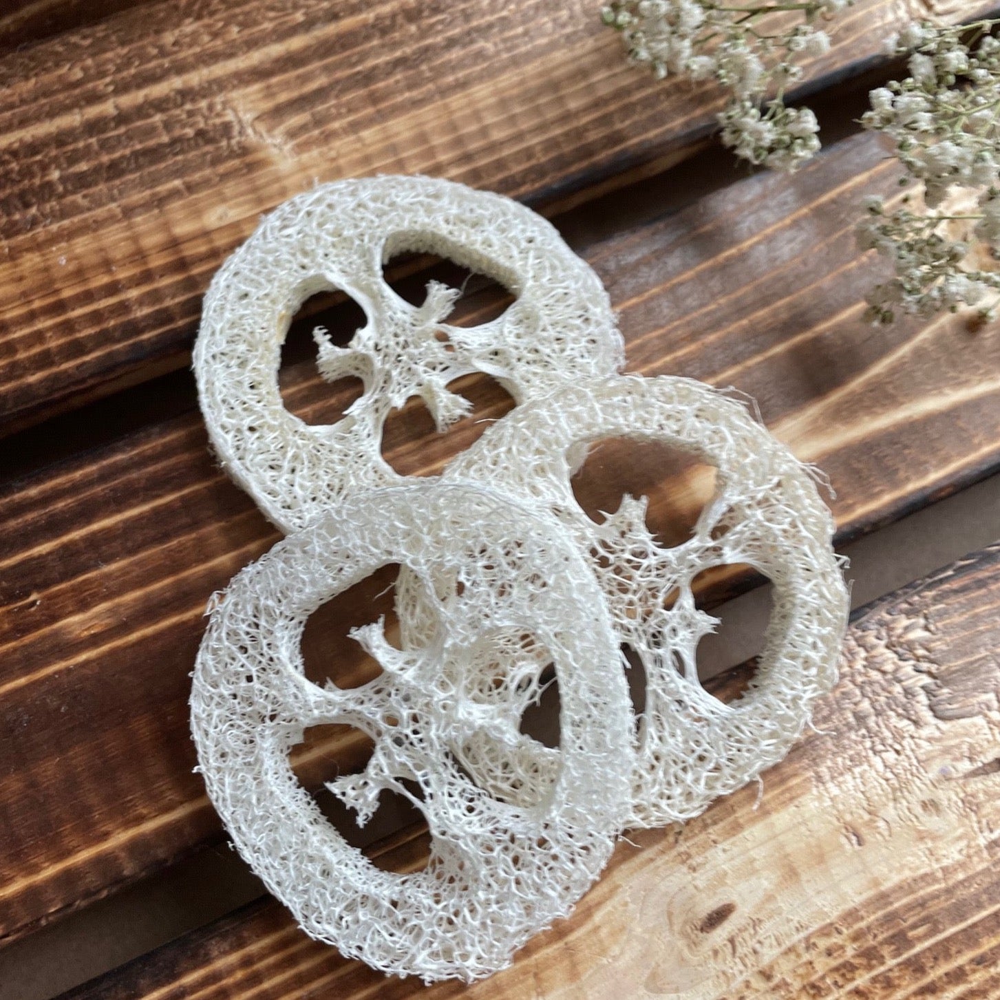 Luffascheiben 3 Stück